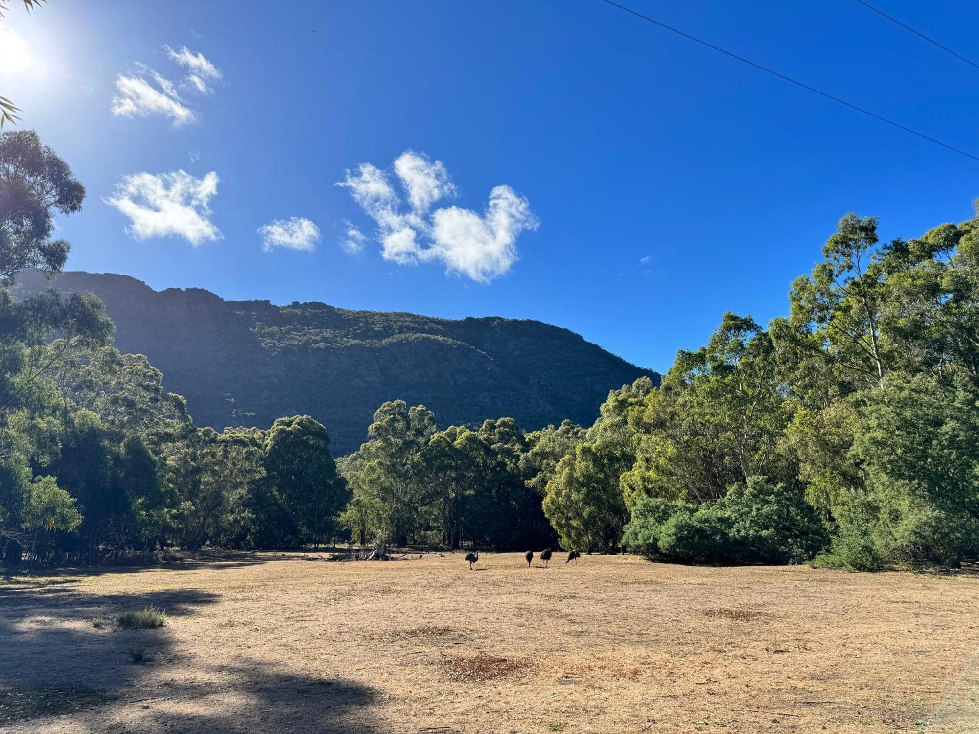 Halls Gap Log Cabins Esterno foto