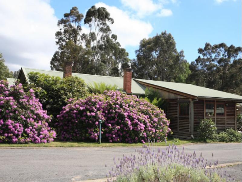 Halls Gap Log Cabins Esterno foto