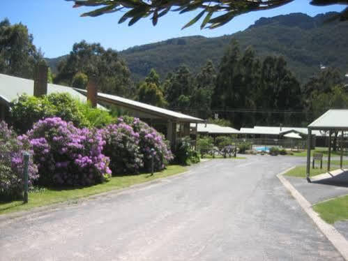 Halls Gap Log Cabins Esterno foto